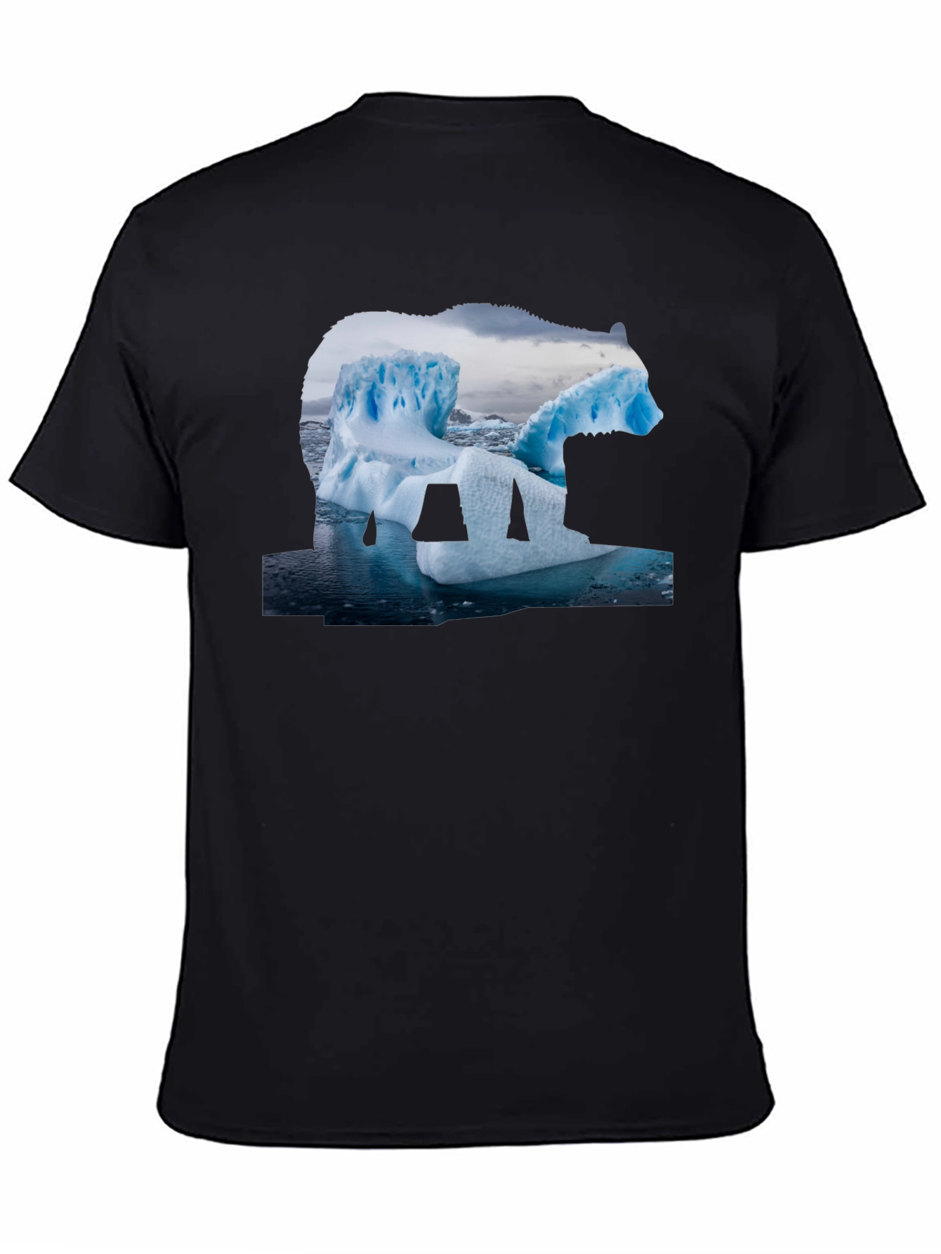 Polar Bear Iceberg Graphic T-Shirt