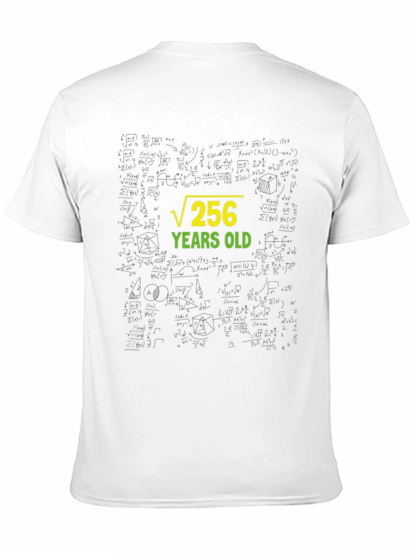 Root 256 Years Old Black T-Shirt