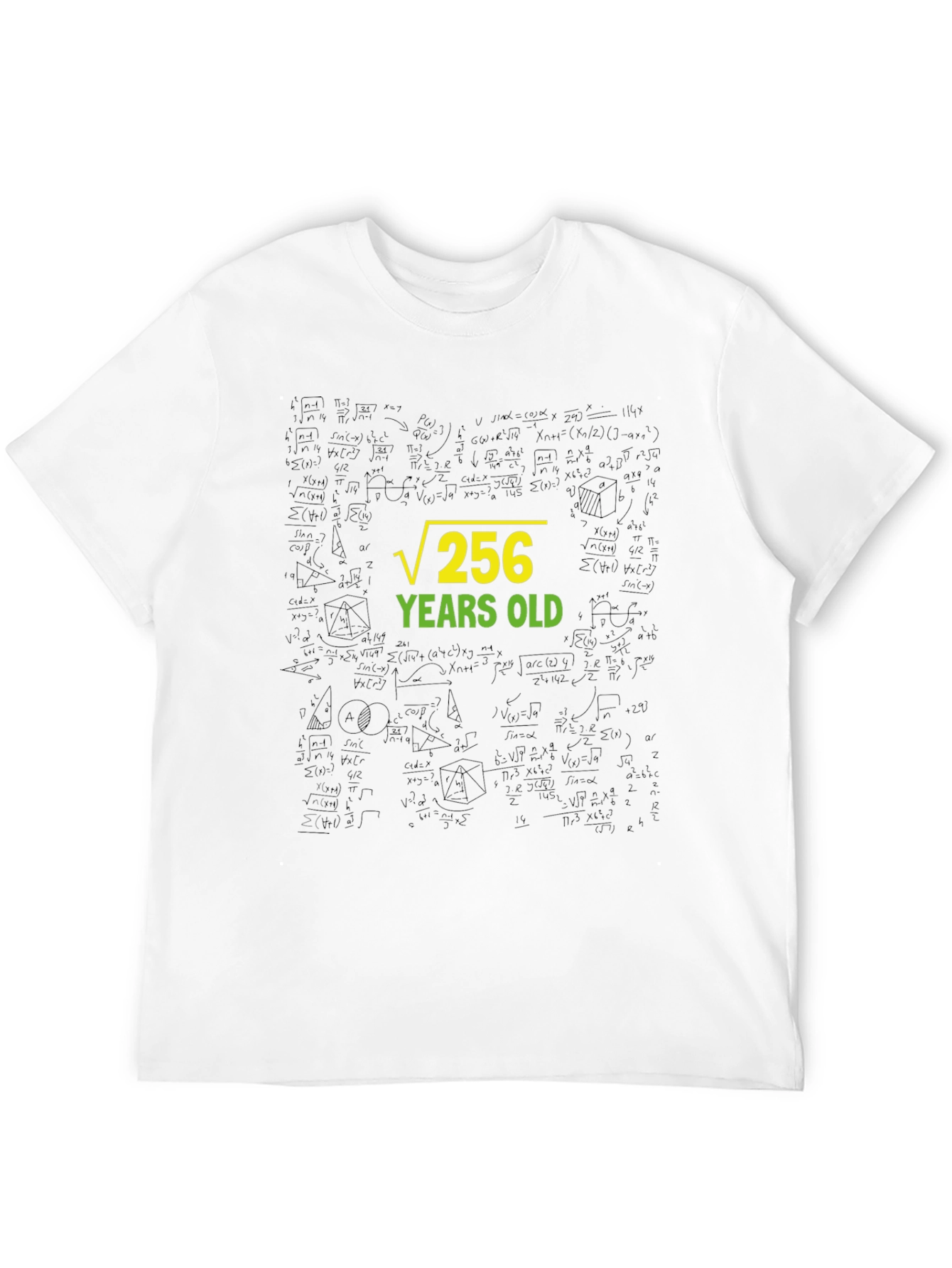 Root 256 Years Old Black T-Shirt