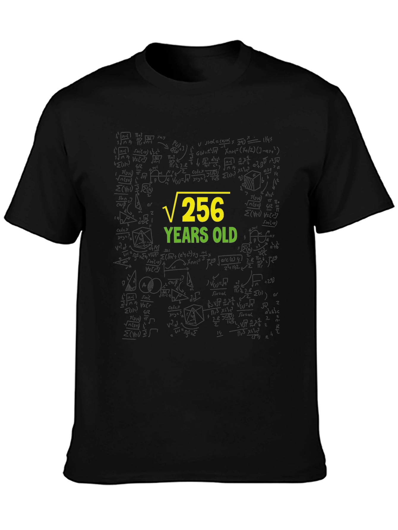 Root 256 Years Old Black T-Shirt