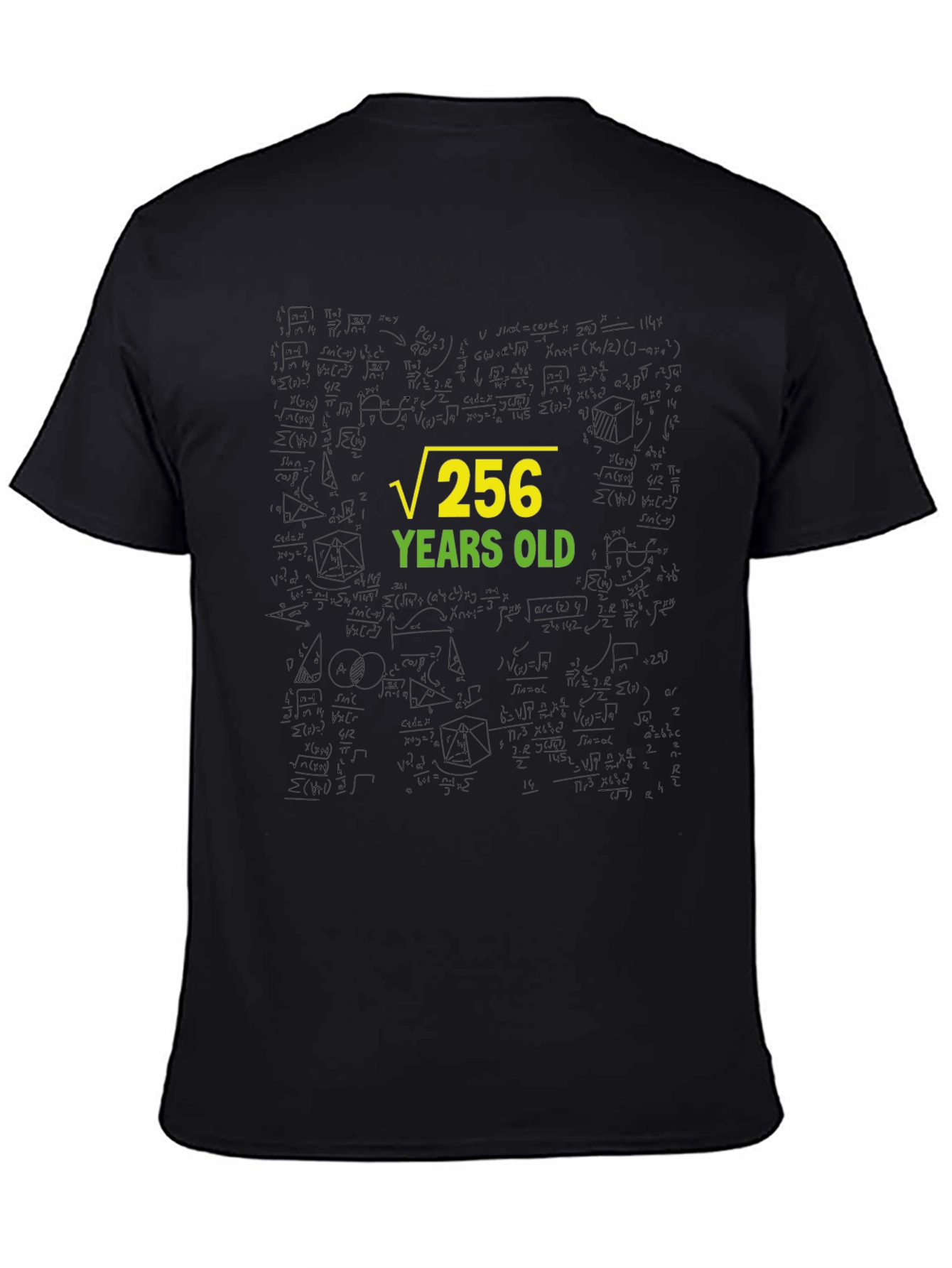 Root 256 Years Old Black T-Shirt