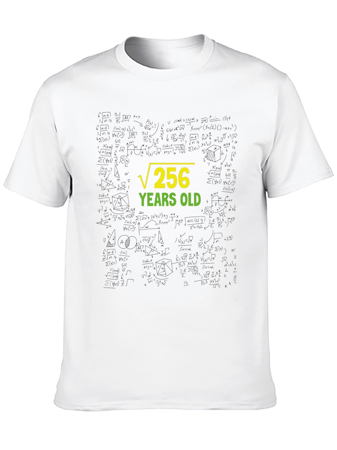 Root 256 Years Old Black T-Shirt