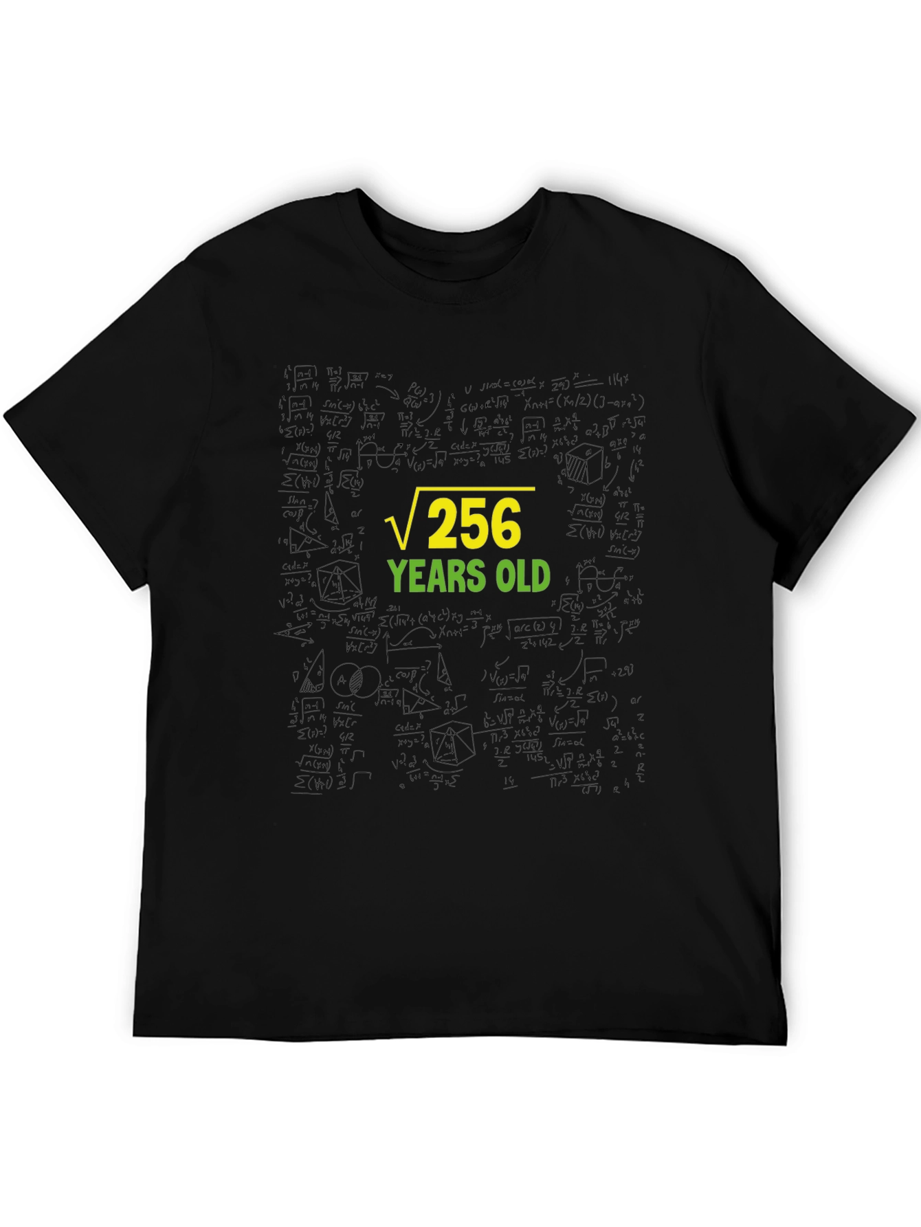 Root 256 Years Old Black T-Shirt