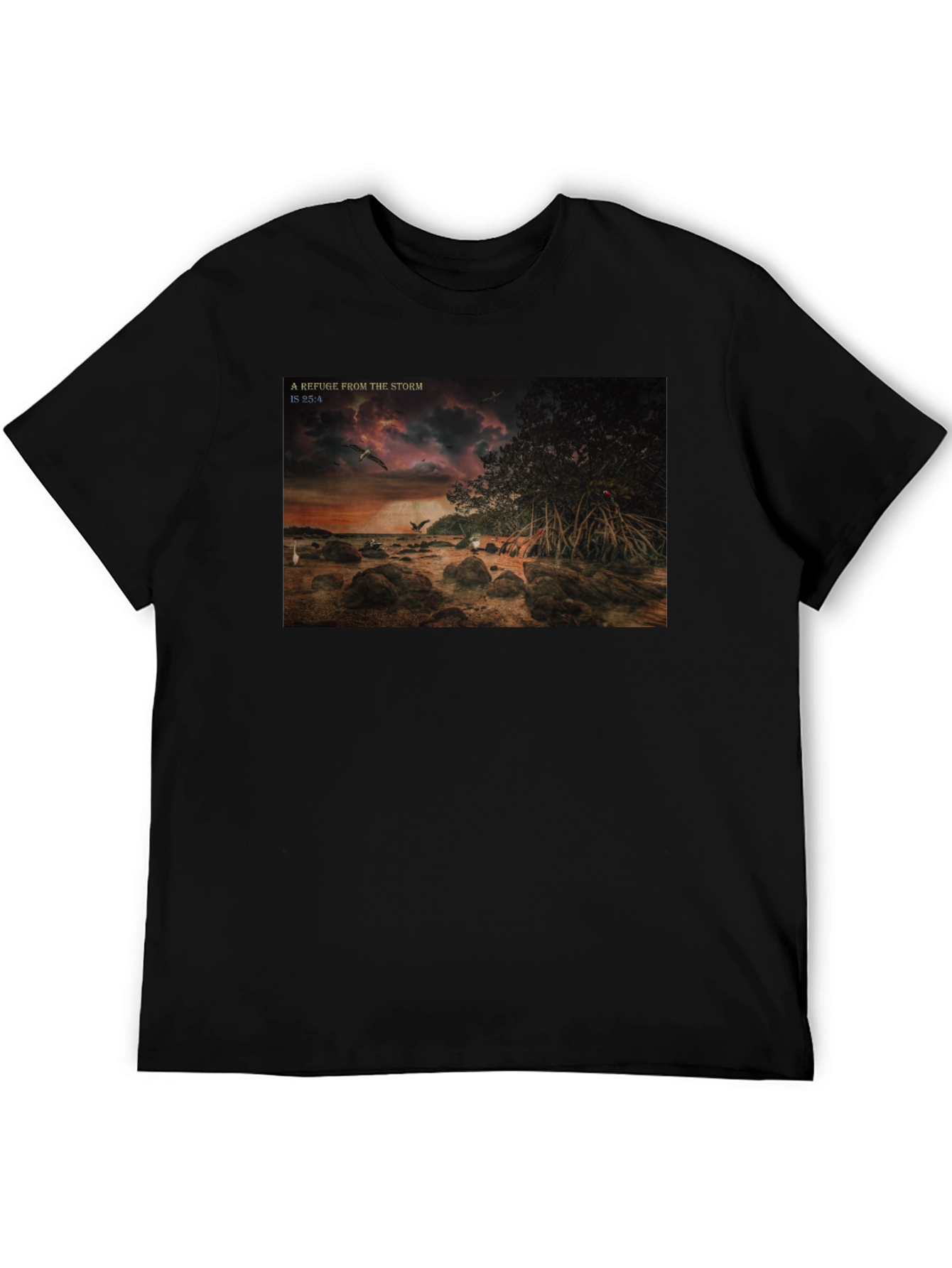 Refuge From The Storm Graphic T-Shirt