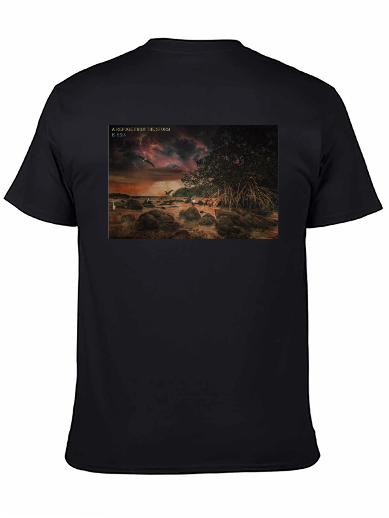 Refuge From The Storm Graphic T-Shirt