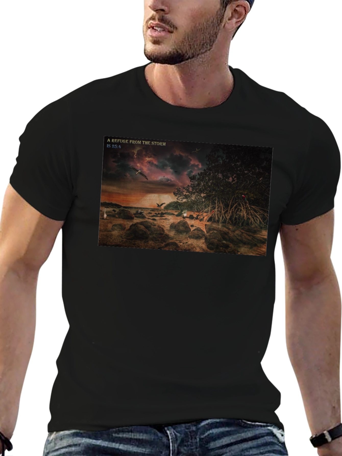 Refuge From The Storm Graphic T-Shirt
