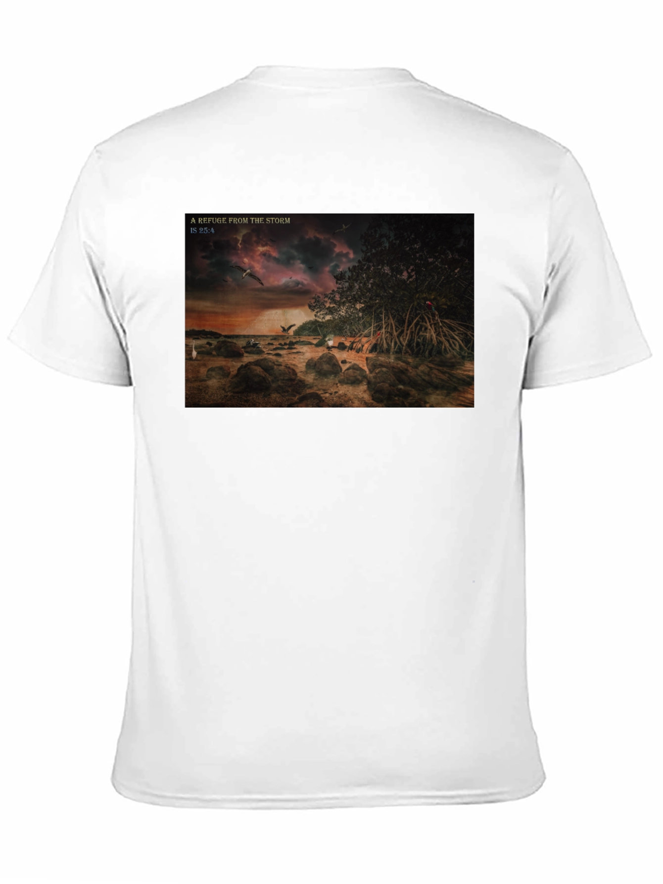 Refuge From The Storm Graphic T-Shirt