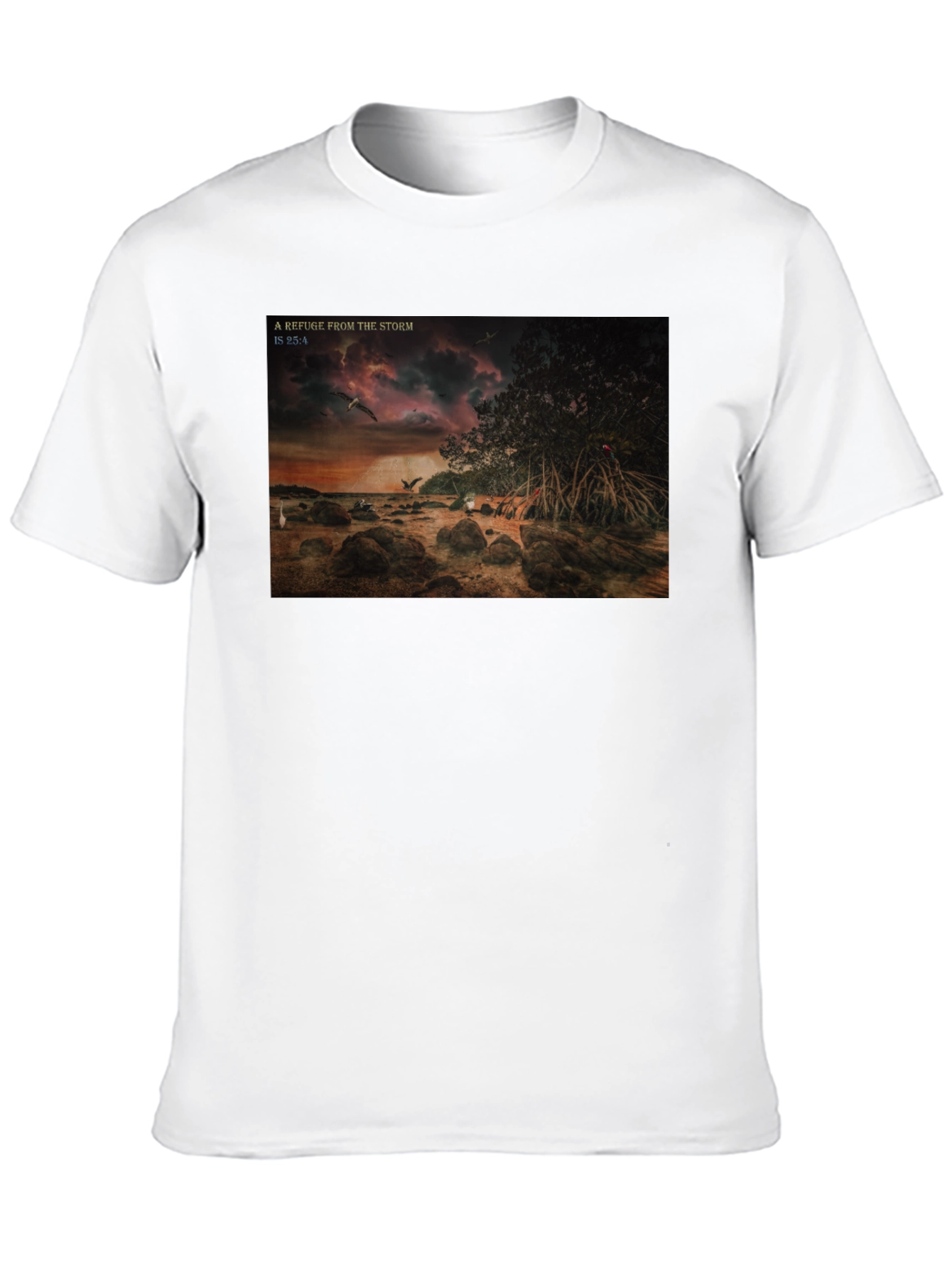 Refuge From The Storm Graphic T-Shirt