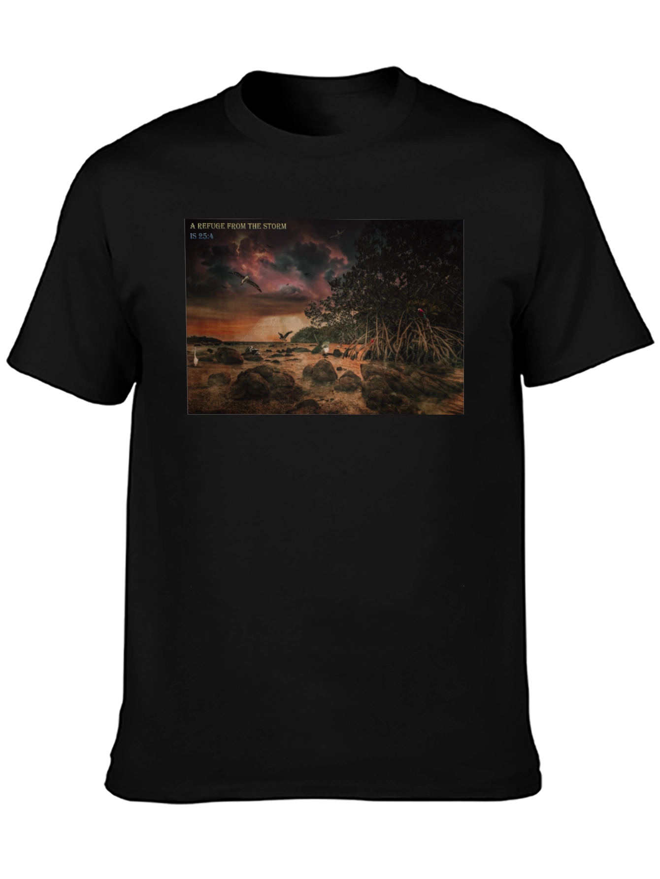 Refuge From The Storm Graphic T-Shirt