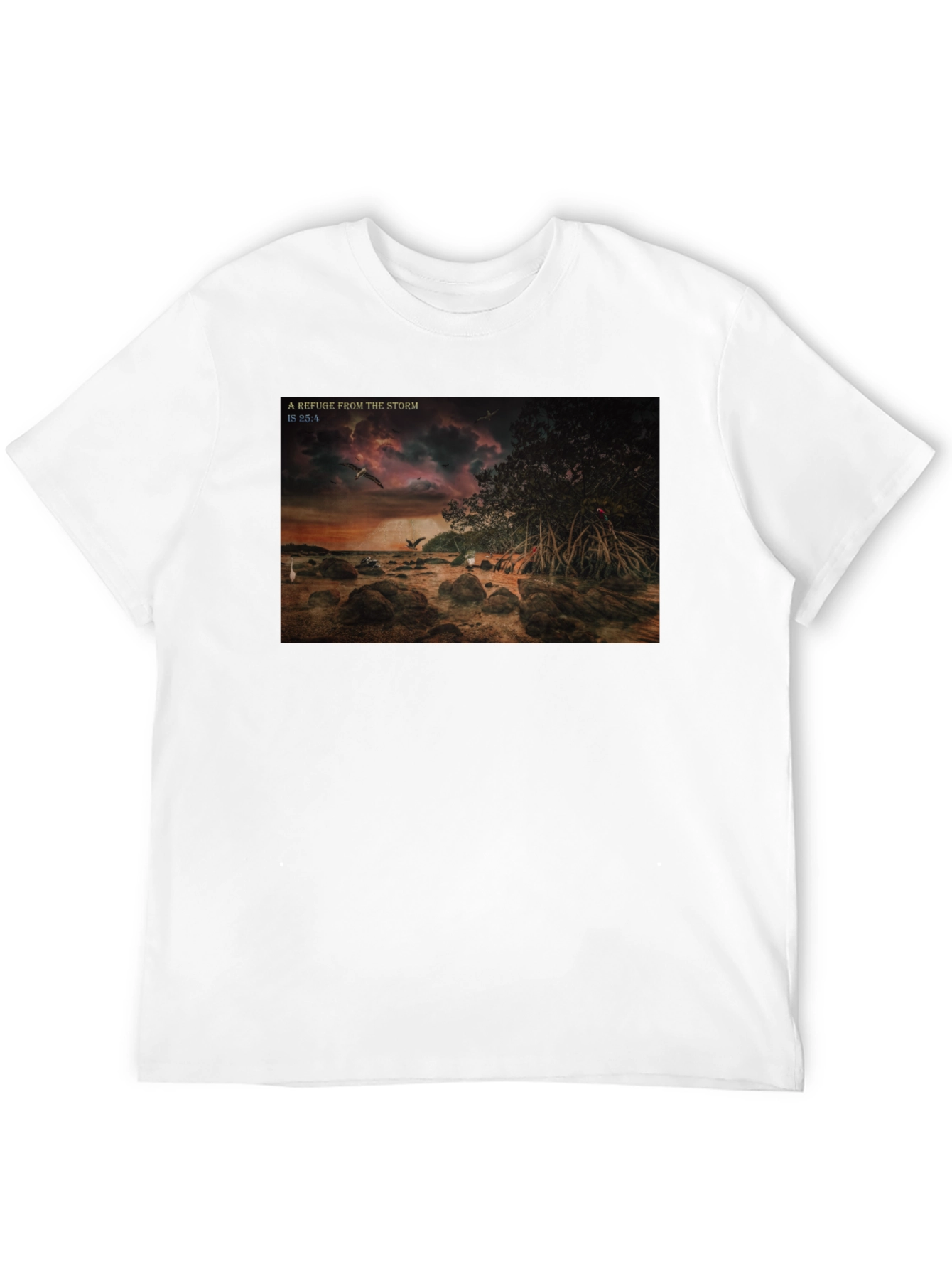 Refuge From The Storm Graphic T-Shirt