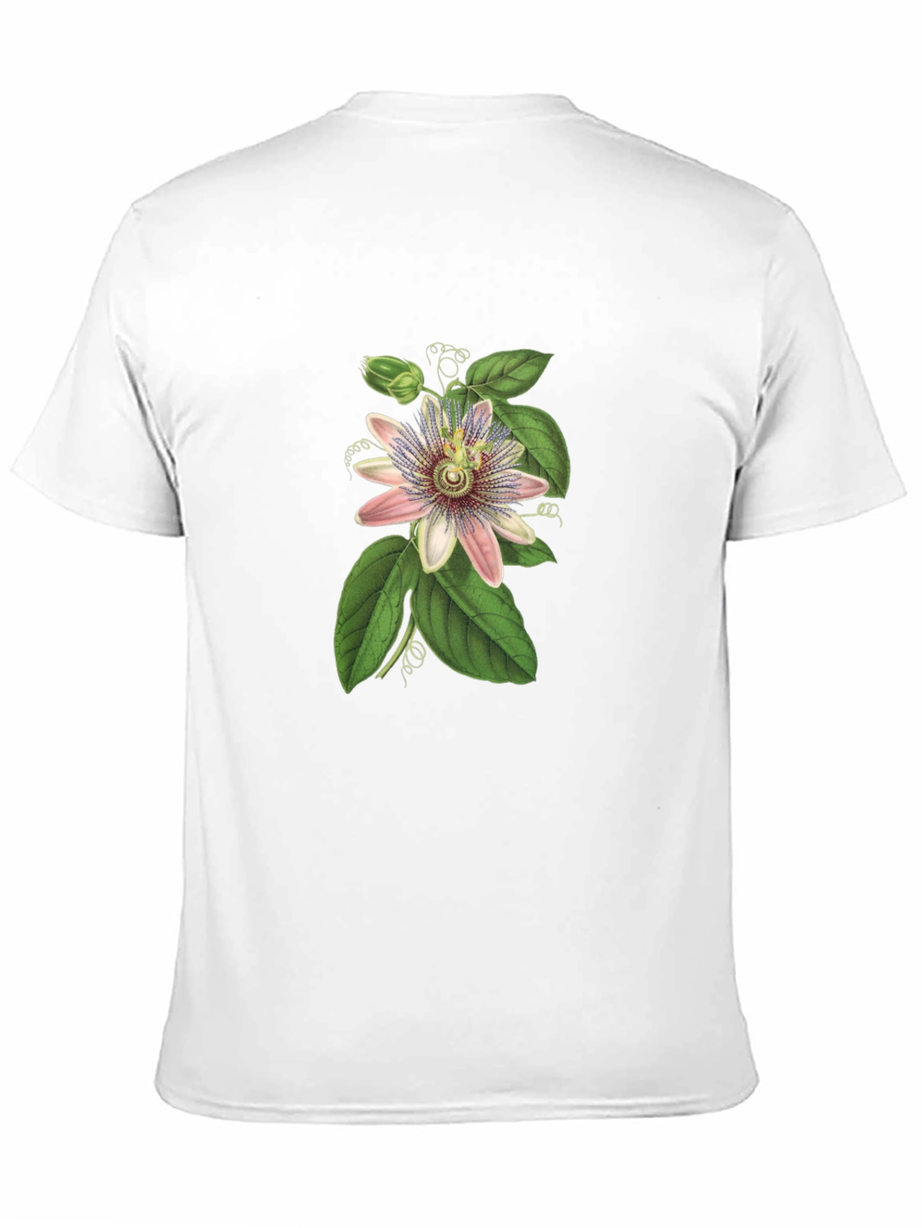 Botanical Passionflower Graphic Tee - Black