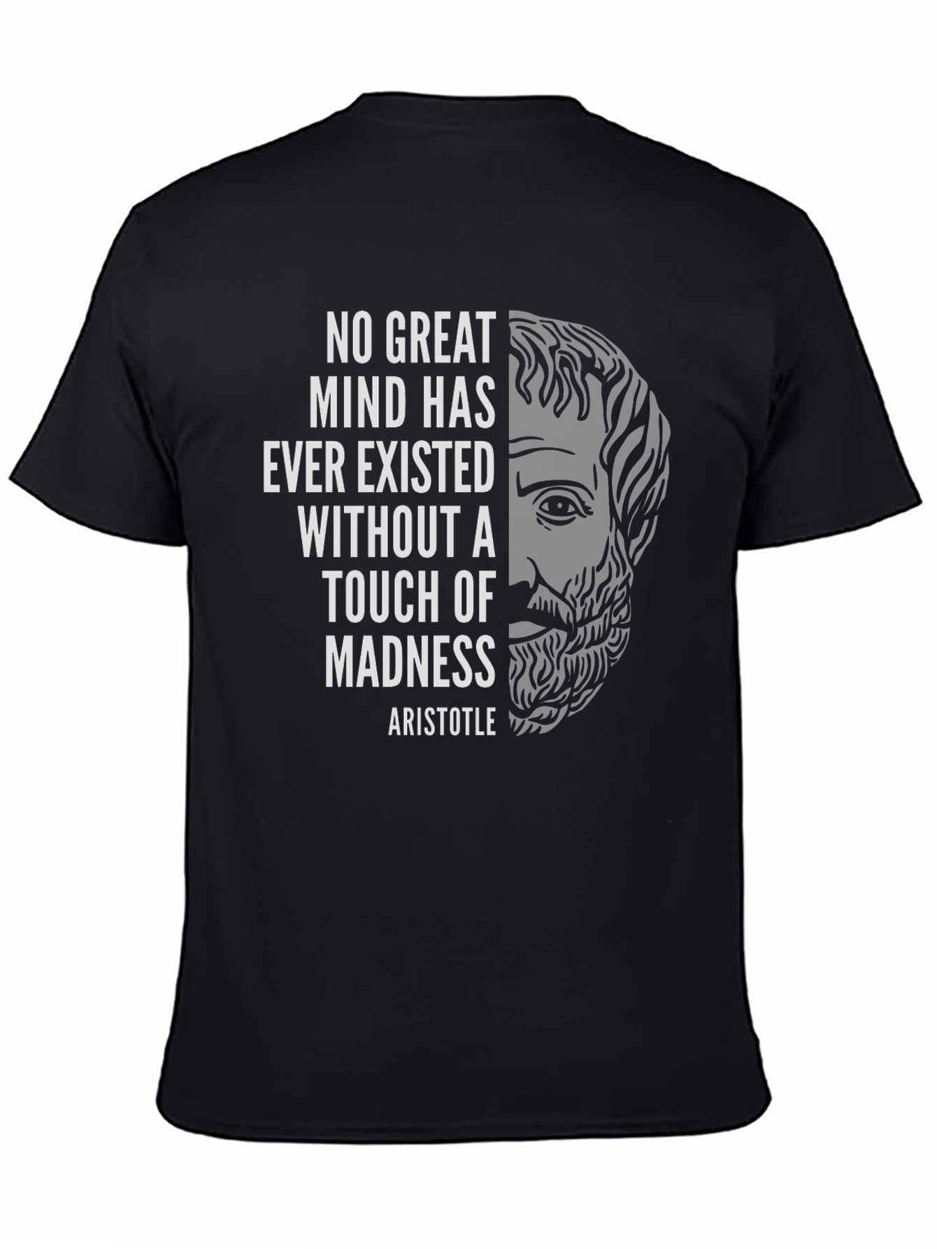 Aristotle Madness T-Shirt - Great Minds Design