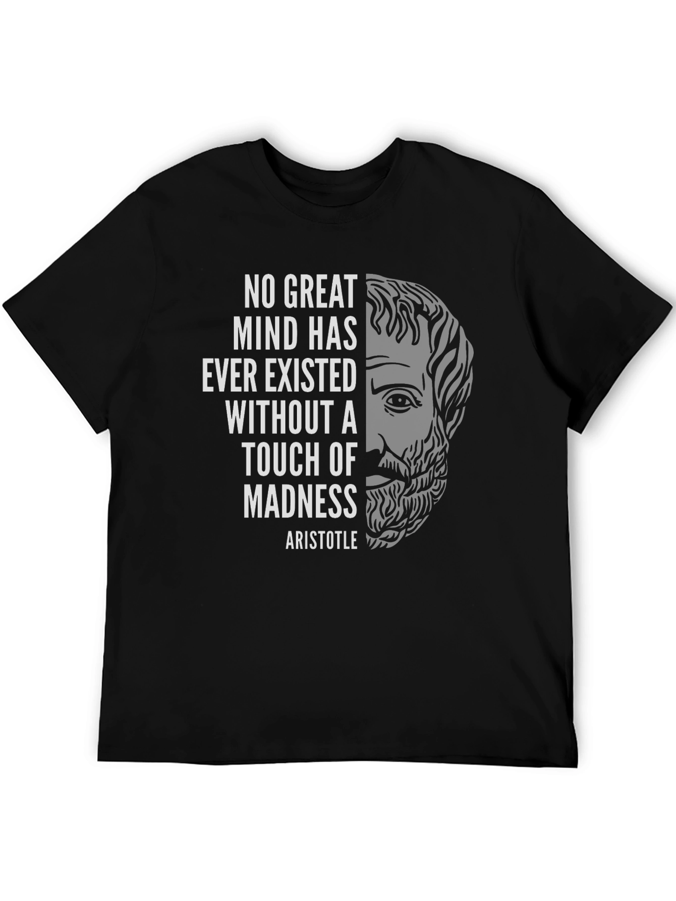 Aristotle Madness T-Shirt - Great Minds Design