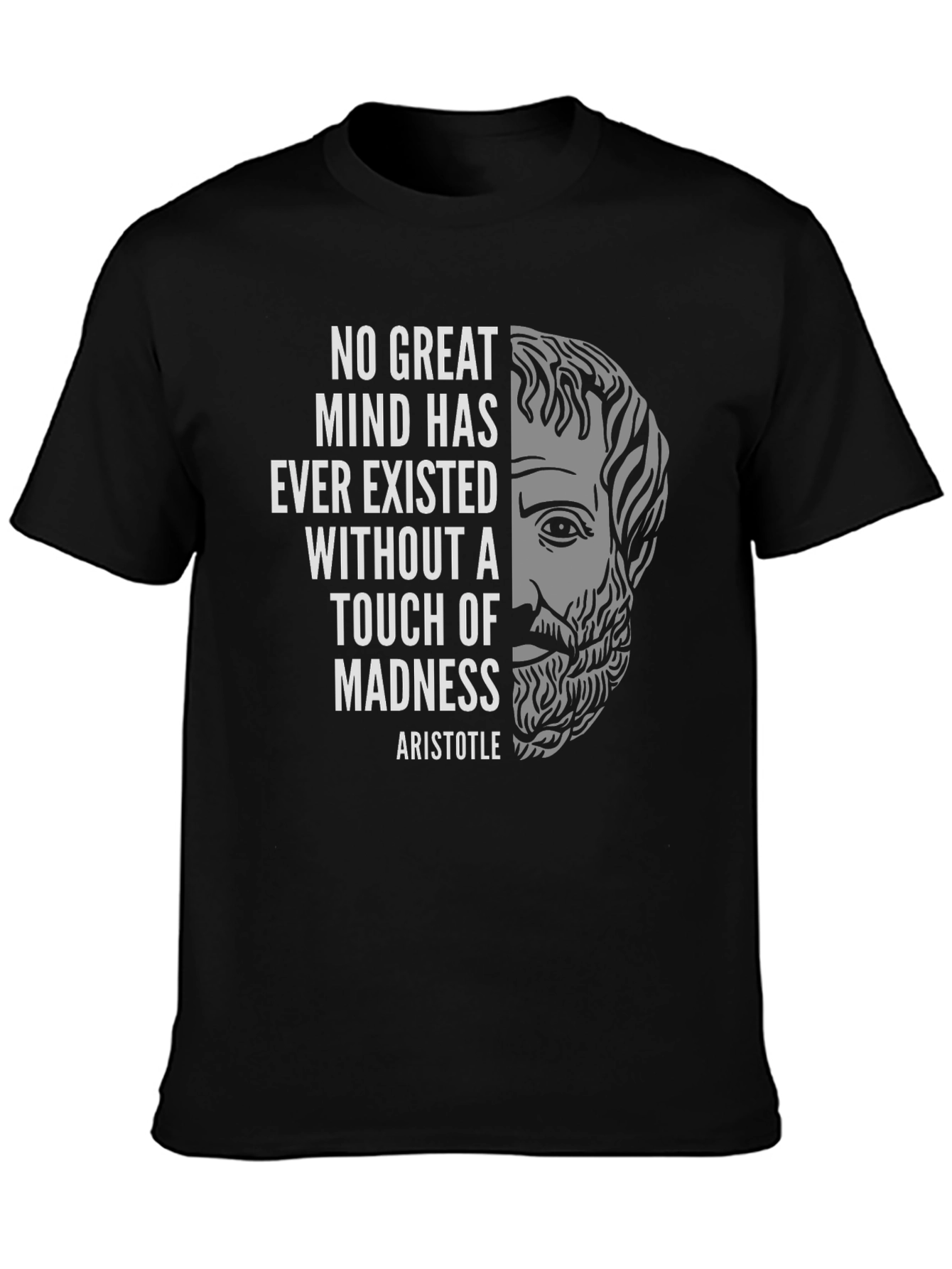 Aristotle Madness T-Shirt - Great Minds Design