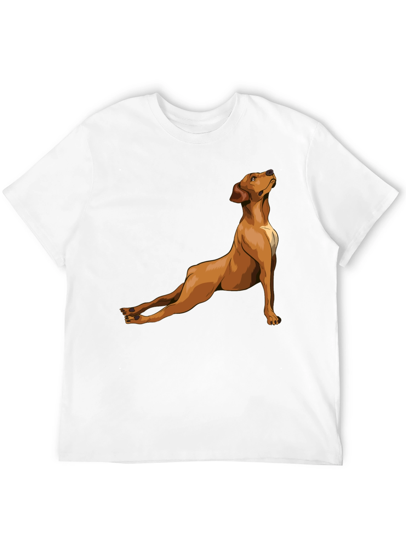 Dog Yoga Pose Graphic Tee - Black Cotton T-Shirt